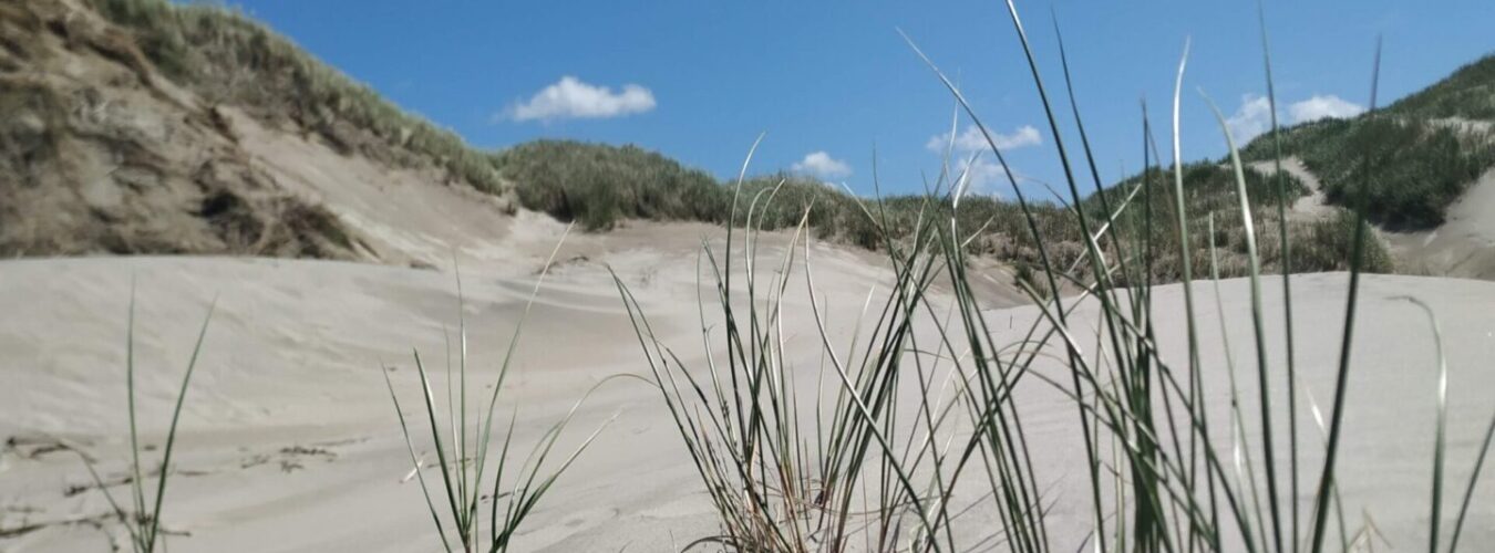 Unser Kegelverein von 1995